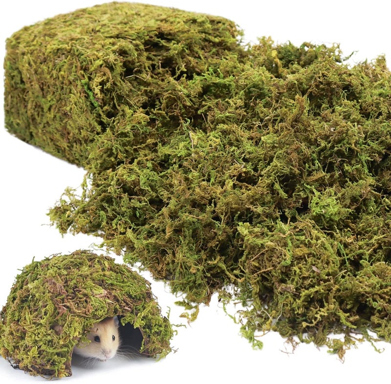 Riare 25QT Natural Sphagnum Moss for Reptiles -Soft Forest Reptiles Moss Bedding Nesting for Hamsters, Terrarium, Mices, Snakes, Turtle, Frog, Gecko Leopard (1.3LB) - Image 1